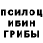 Псилоцибиновые грибы MAGIC MUSHROOMS Timur_01 2