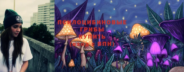 2c-b Алзамай