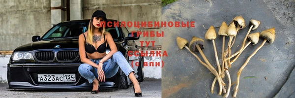 тгк Абаза