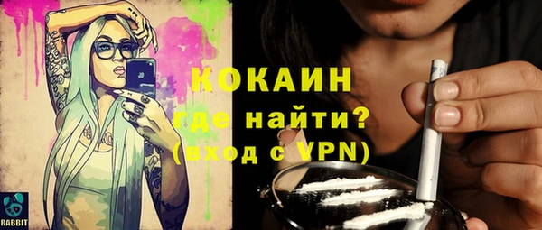 тгк Абаза