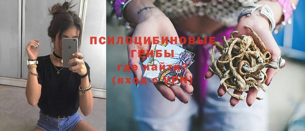 дживик Абинск