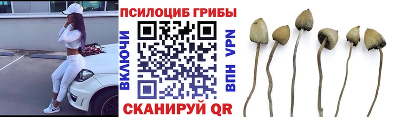 Галлюциногенные грибы GOLDEN TEACHER  нарко площадка состав  Новотитаровская 